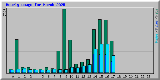 Hourly usage for March 2025
